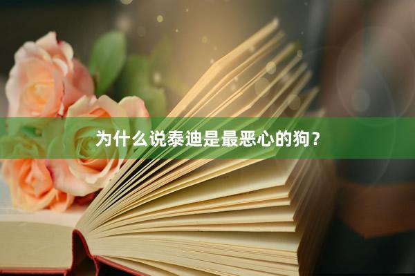 为什么说泰迪是最恶心的狗？
